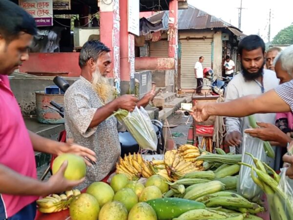 মাগুরায় উঠছে শীতকালীন সবজি : বাজার ভেদে দামে ব্যাপক তারতম্য