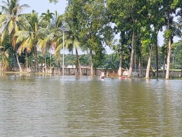 মাগুরায় ৪ দিনের অতিবৃষ্টিতে মৎস্য খাতে ক্ষতি ২ কোটি ৬২ লাখ টাকা